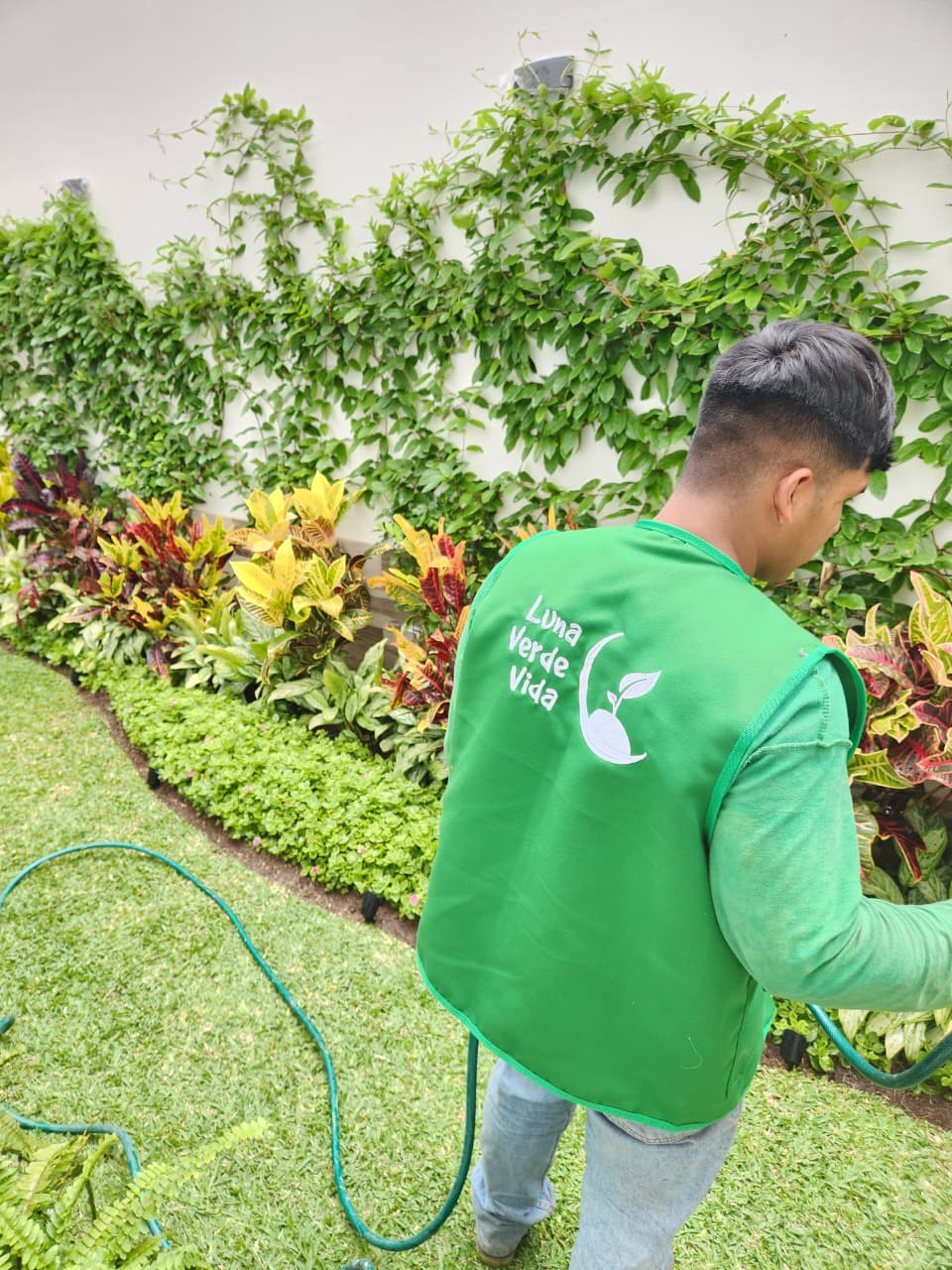 Mantenimiento de jardines